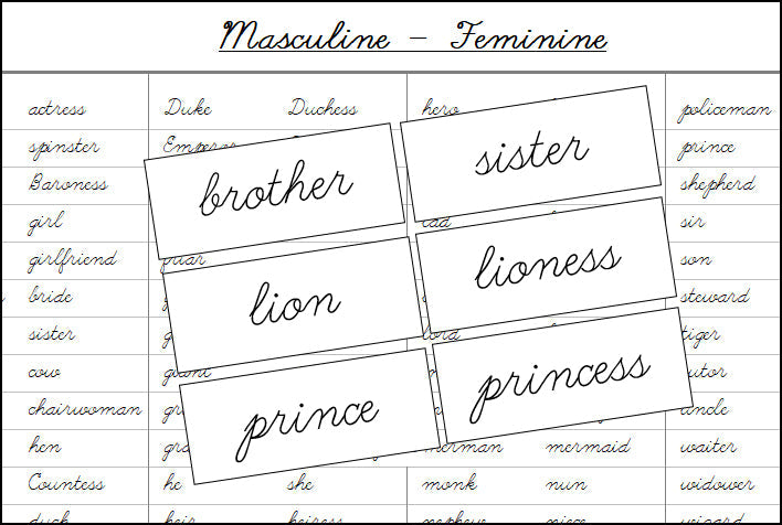 Masculine & Feminine Cards (cursive) - Montessori Print Shop Grammar Lesson