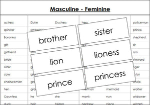 Masculine and feminine cards - Montessori Print Shop grammar