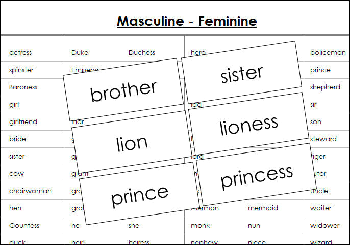 Masculine and feminine cards - Montessori Print Shop grammar