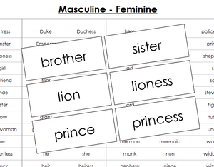 Masculine & Feminine Matching Cards - Montessori Print Shop grammar lesson
