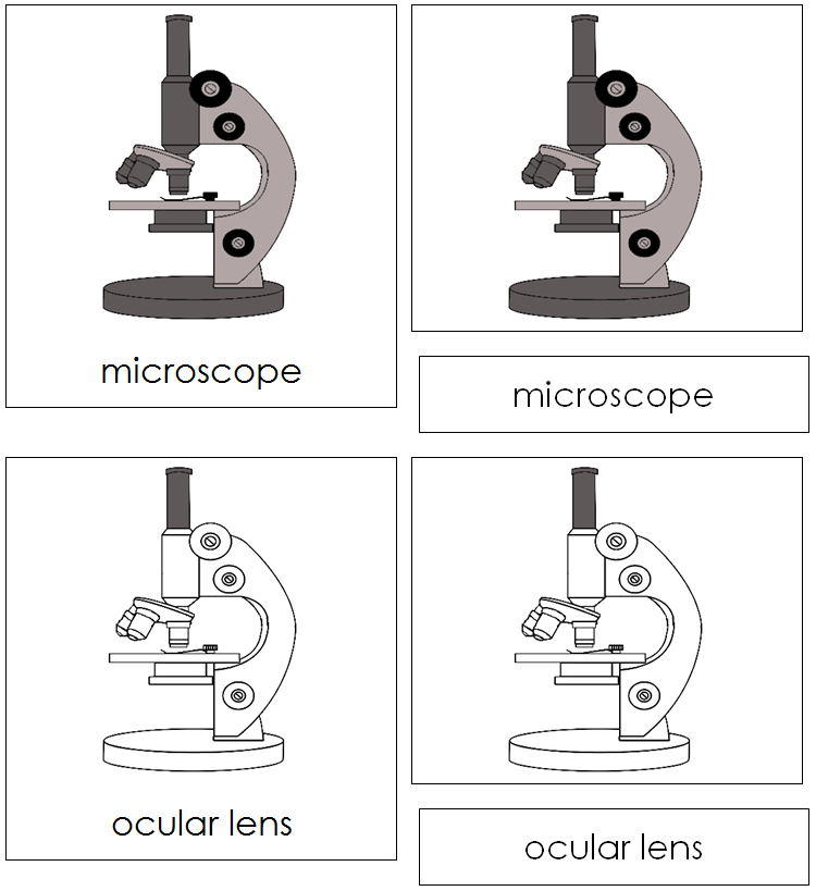 Microscope Nomenclature Cards - Montessori Print Shop