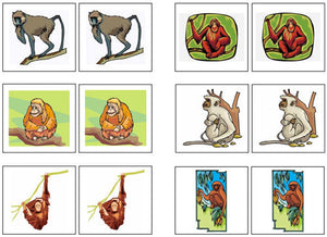 Monkey Match-Up & Memory Game - Montessori Print Shop