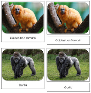 Monkeys and Apes Safari Toob Cards - Montessori Print Shop
