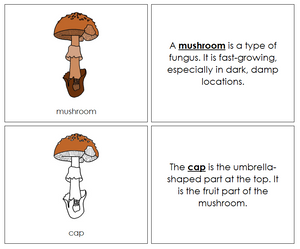 Parts of a mushroom Nomenclature Book - Montessori Print Shop