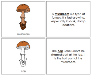 Parts of a Mushroom Nomenclature Book - Montessori Print Shop
