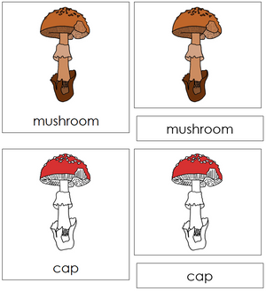 Parts of a Mushroom Nomenclature 3-Part Cards - Montessori Print Shop
