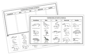 North America Vertebrate Sorting Blackline Masters - Montessori Print Shop animal activity