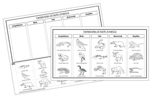 Vertebrates of North America sorting - Montessori Print Shop