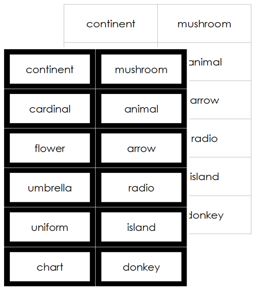 Noun Cards (Elementary) - montessori grammar cards