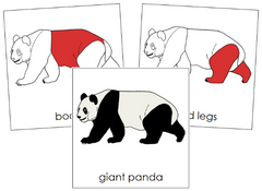 PandaCdsR-N_1fdc7bf6-0936-4585
