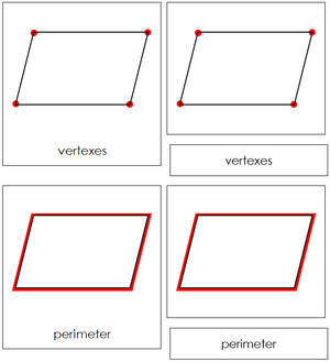 The Study of a Parallelogram Nomenclature Cards - Montessori Print Shop