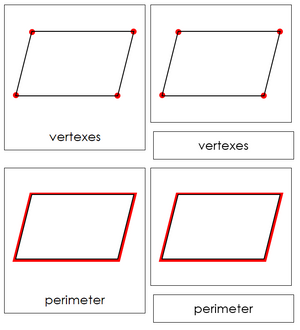 Study of a Parallelogram Cards - Montessori Print Shop geometry cards