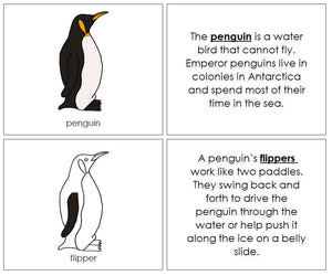 Parts of a Penguin Nomenclature Book - Montessori Print Shop