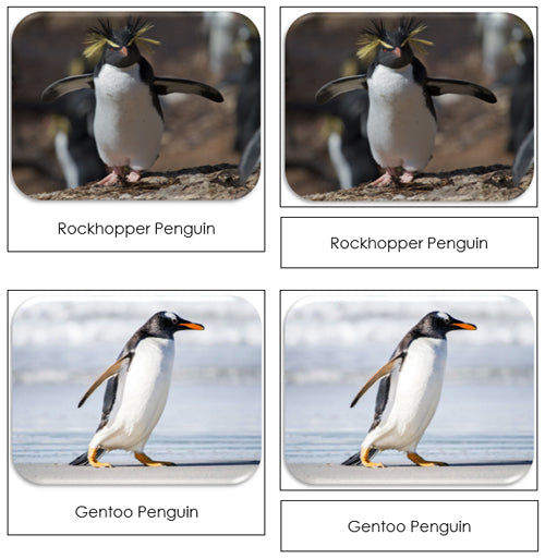 Penguins Safari Toob Cards - Montessori Print Shop