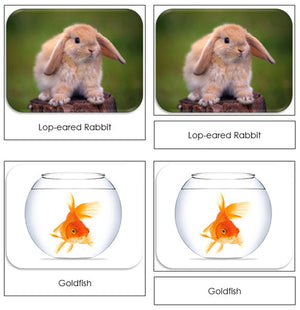 Pets Safari Toob Cards - Montessori Print Shop