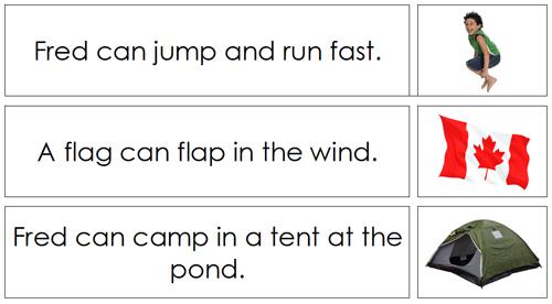 Phonetic Sentence Cards - Montessori language cards