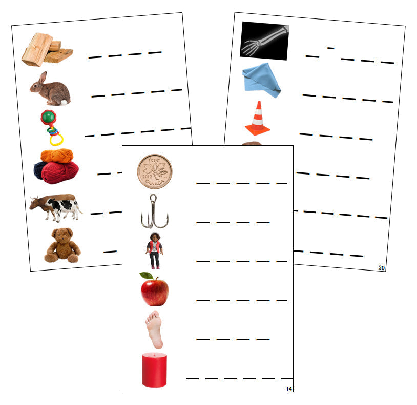 Step 3: Phonogram Spelling Cards - Set 2 (photos)