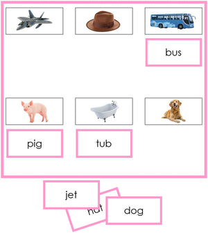 Pink Sheets & Labels - phonetic language lesson