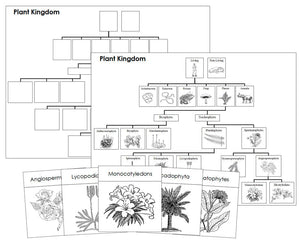 Plant Kingdom Charts and Cards Blackline Masters - Montessori Print Shop