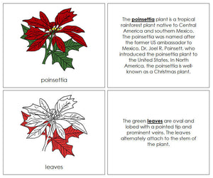Poinsettia Nomenclature Book (red) - Montessori Print Shop