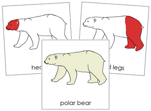 Polar Bear Nomenclature Cards (red) - Montessori Print Shop