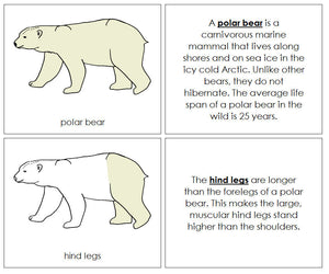 Polar Bear Nomenclature Book - Montessori Print Shop