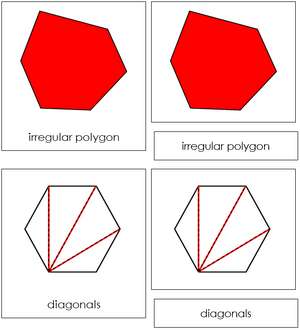 The Study of a Polygon Nomenclature Cards - Montessori Print Shop