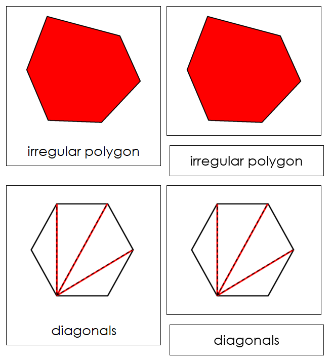 Study of a Polygon Cards - Montessori Print Shop
