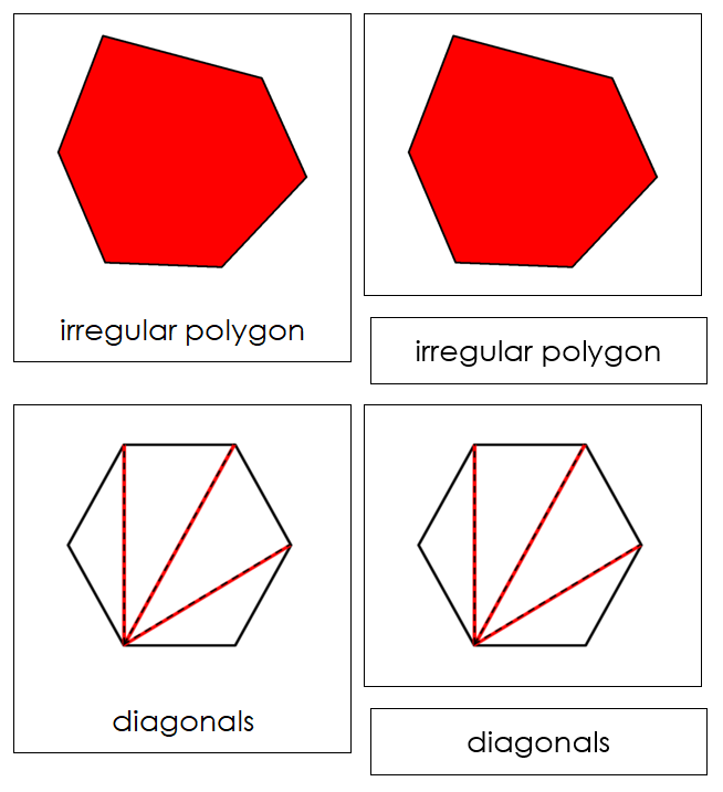 Study of a Polygon Cards - Montessori Print Shop geometry cards