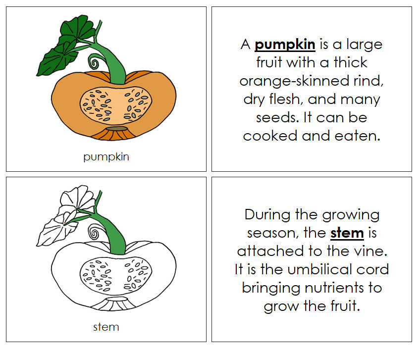 Pumpkin Nomenclature Book - Montessori Print Shop