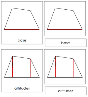 Study of a Quadrilateral 3-Part Cards - Montessori Print Shop geometry cards