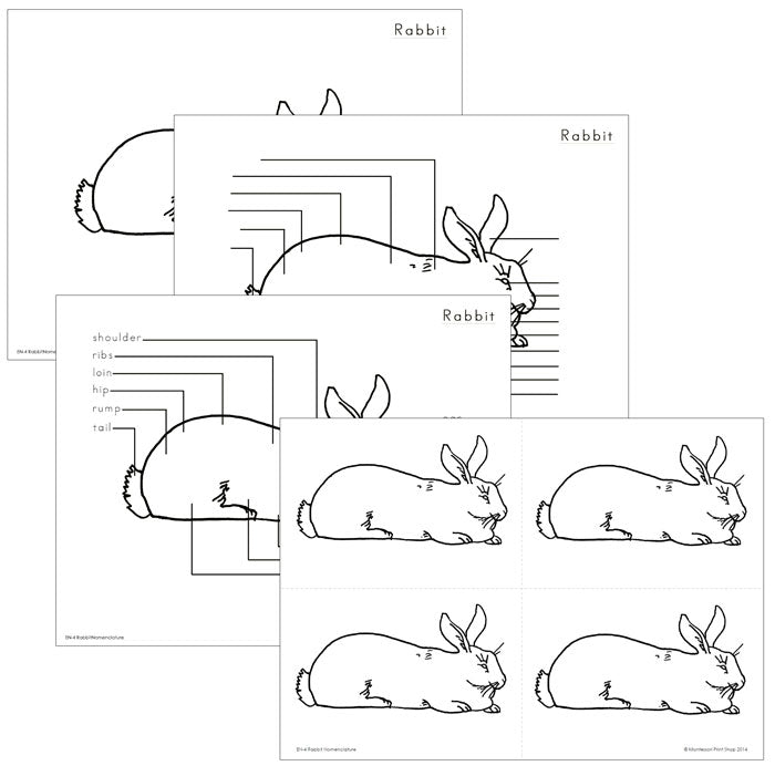 Elementary Montessori Rabbit Nomenclature - Montessori Print Shop