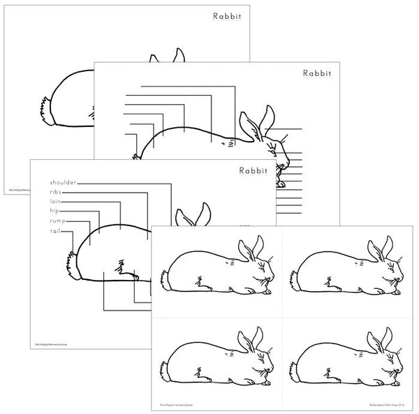 Elementary Montessori Rabbit Nomenclature - Montessori Print Shop