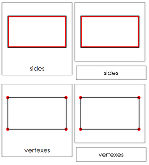 Study of a Rectangle 3-Part Cards - Montessori Print Shop geometry cards