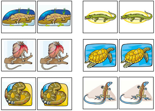 Reptile Match-Up & Memory Game - Montessori Print Shop