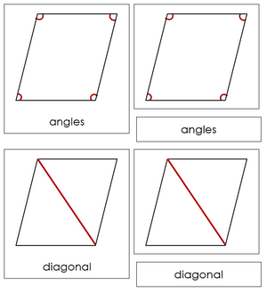 Study of a Rhombus 3-Part Cards - Montessori Print Shop geometry