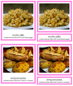 Foods of South America 3-Part Cards - Montessori Print Shop continent study