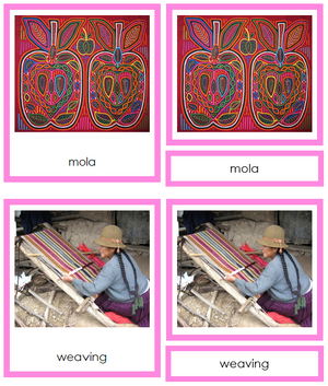 Culture of South America 3-Part Cards - Montessori Print Shop continent study