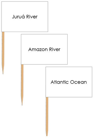 Waterways of South America: Pin Flags - Montessori Print Shop geography materials