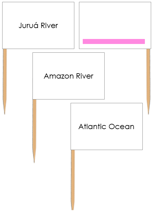 Waterways of South America: Pin Flags (color-coded) - Montessori Print Shop