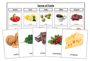 Sense of Taste Sorting Cards - Montessori Print Shop