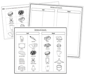 Sense of Touch Sorting (Set 1) Blackline Masters - Montessori Print Shop