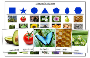 Shapes in Nature Sorting Cards & Control Chart - Montessori Print Shop