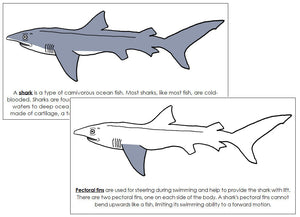 Parts of a Shark Nomenclature Book - Montessori Print Shop