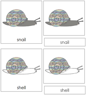 Snail Nomenclature Cards - Montessori Print Shop