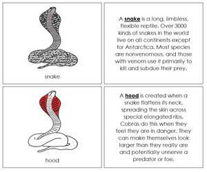 Parts of a Snake Nomenclature Book (red) - Montessori Print Shop
