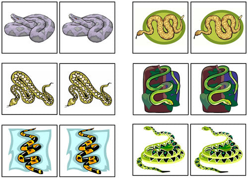 Snake Shape Matching Snake Match-Up & Memory Game - Montessori Print Shop Digital Download