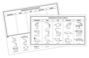 Vertebrates of South America sorting - Montessori Print Shop