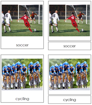 Sport Cards - Montessori Print Shop