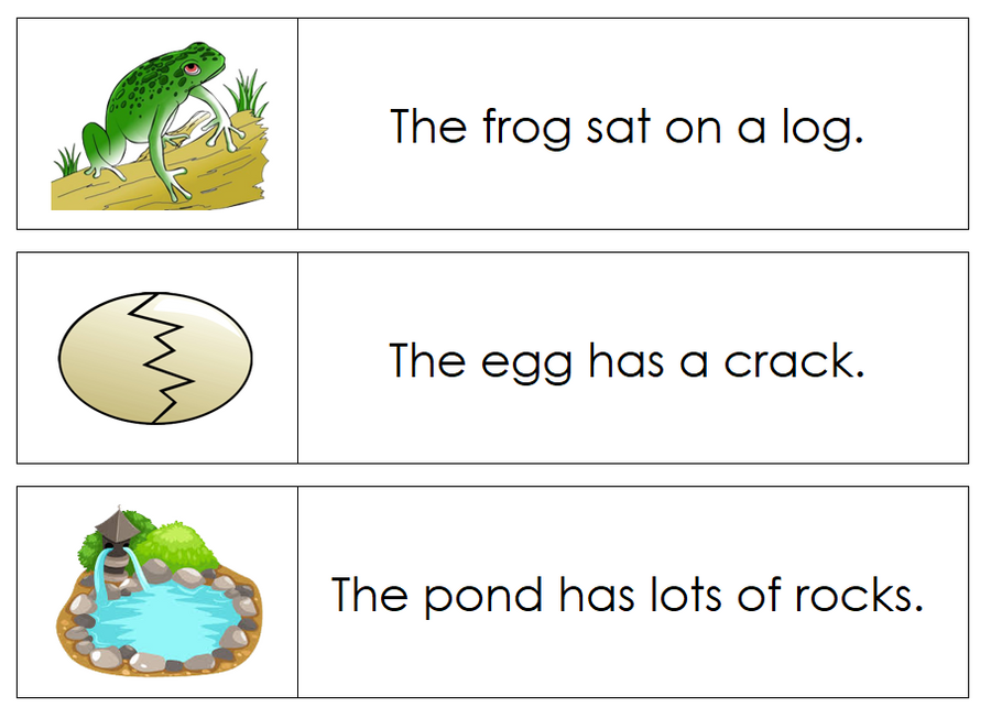Step 2 Sentence Cards (Set 1) - Montessori Print Shop Language Series